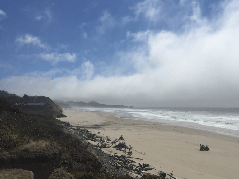 Visiting Family-Friendly Beaches in Newport, Oregon: What You Need To Know