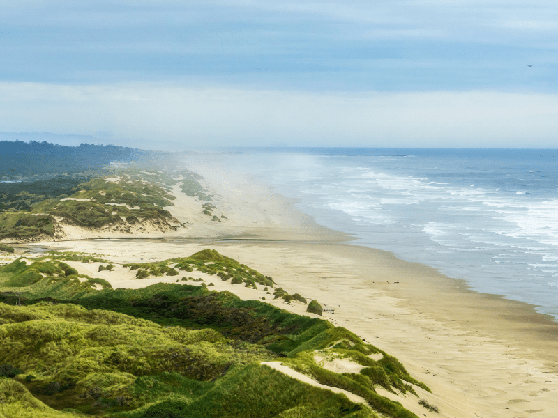 Sand Dunes Oregon Coast