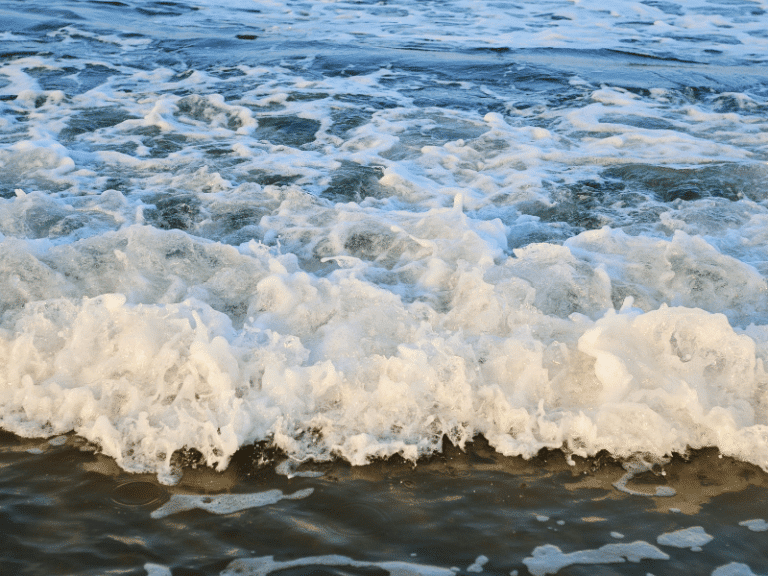 Discover the Majestic Wonders of Negative Tides A Thrilling Adventure