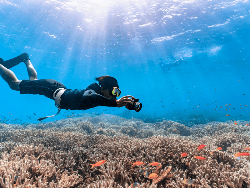 Safe Diving on the Coast