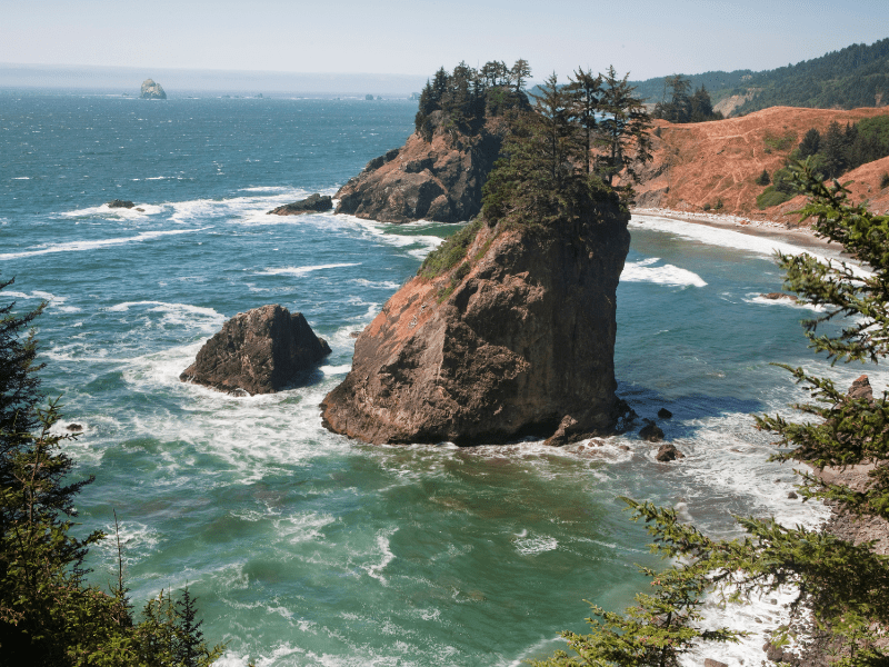 The Oregon Coast Diversity