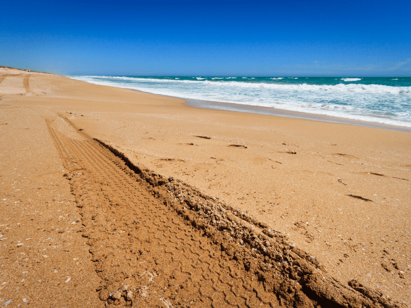 Beaches you can drive on in Oregon