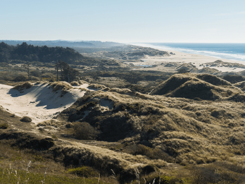 Embracing Nature on Highway 101