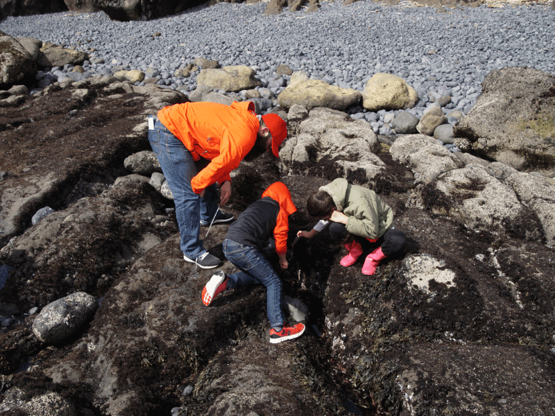 Outdoor activities on the beaches of the Oregon Coast