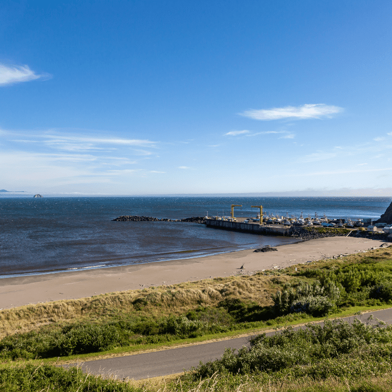 Port Orford Heads Hidden Gem