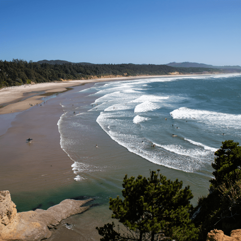 Otter Crest Loop Hidden Gem