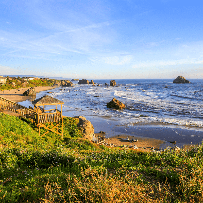 Bandon Marsh Hidden Gem