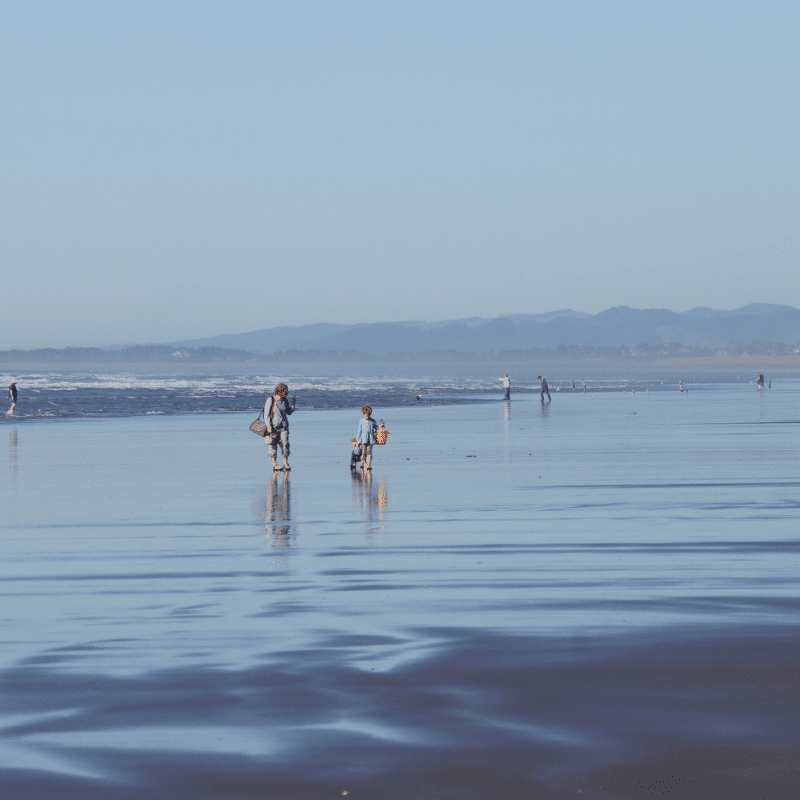 Beachcombing on the Oregon Coast on the water