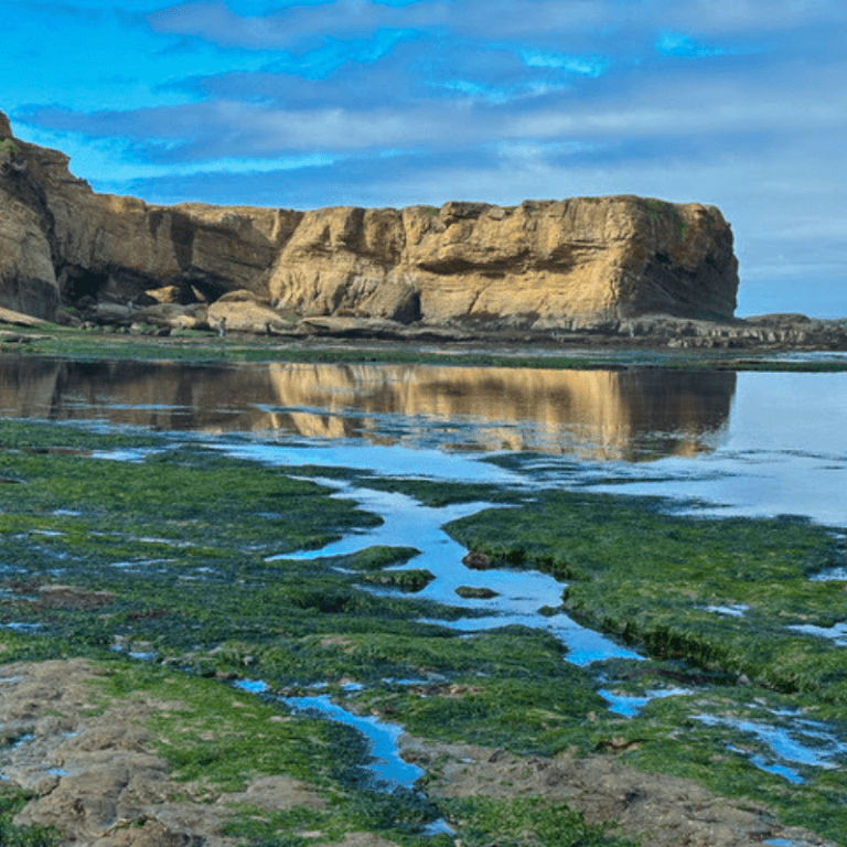 Otter Rock