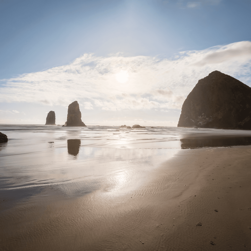 Finding Unique Seashells on Cannon Beach