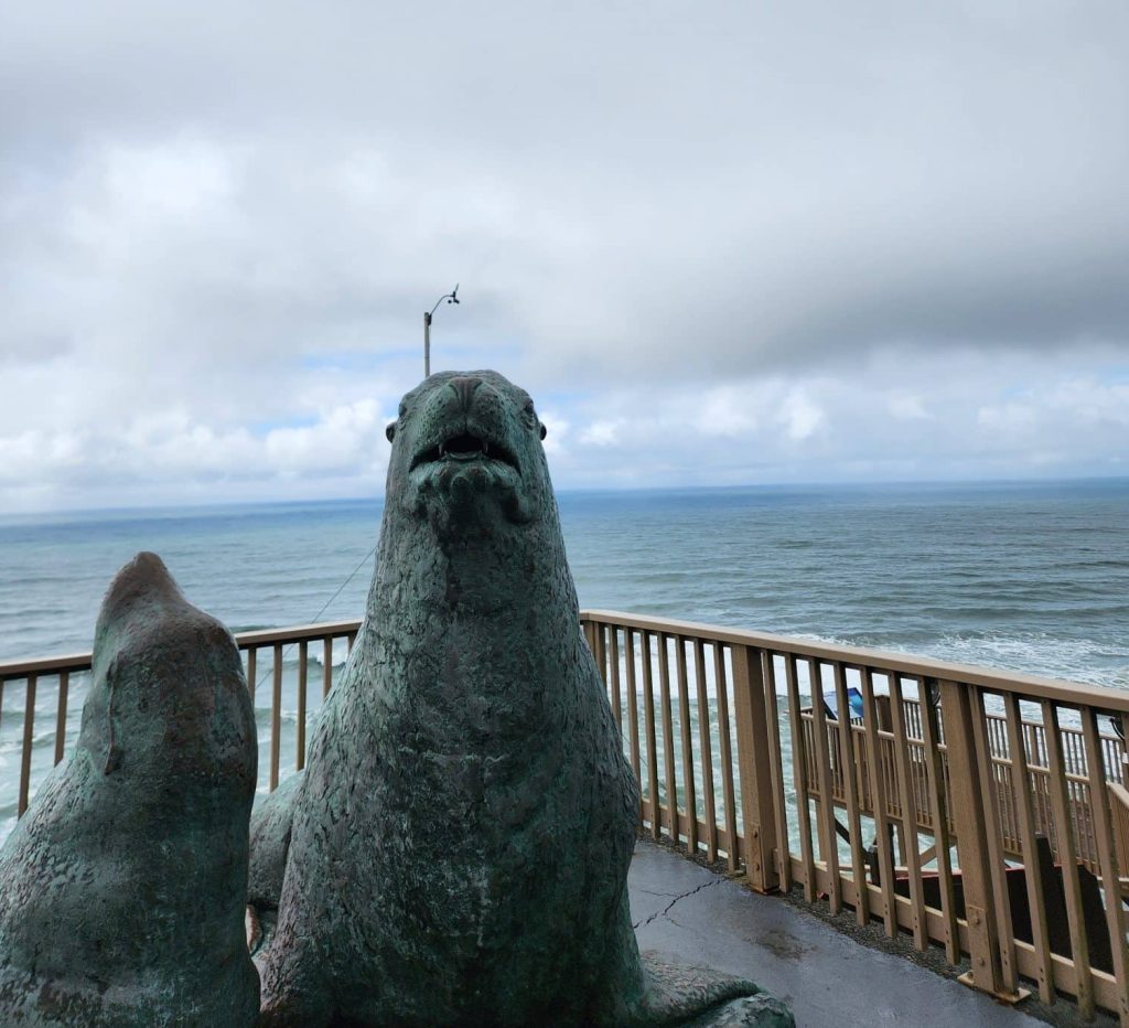 Sea Lion Caves Oregon Coast - Largest Sea Cave in America