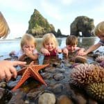Children exploring tide pools around Haystack Rock at Cannon Beach on the Oregon Coast Oregon Coast with Kids