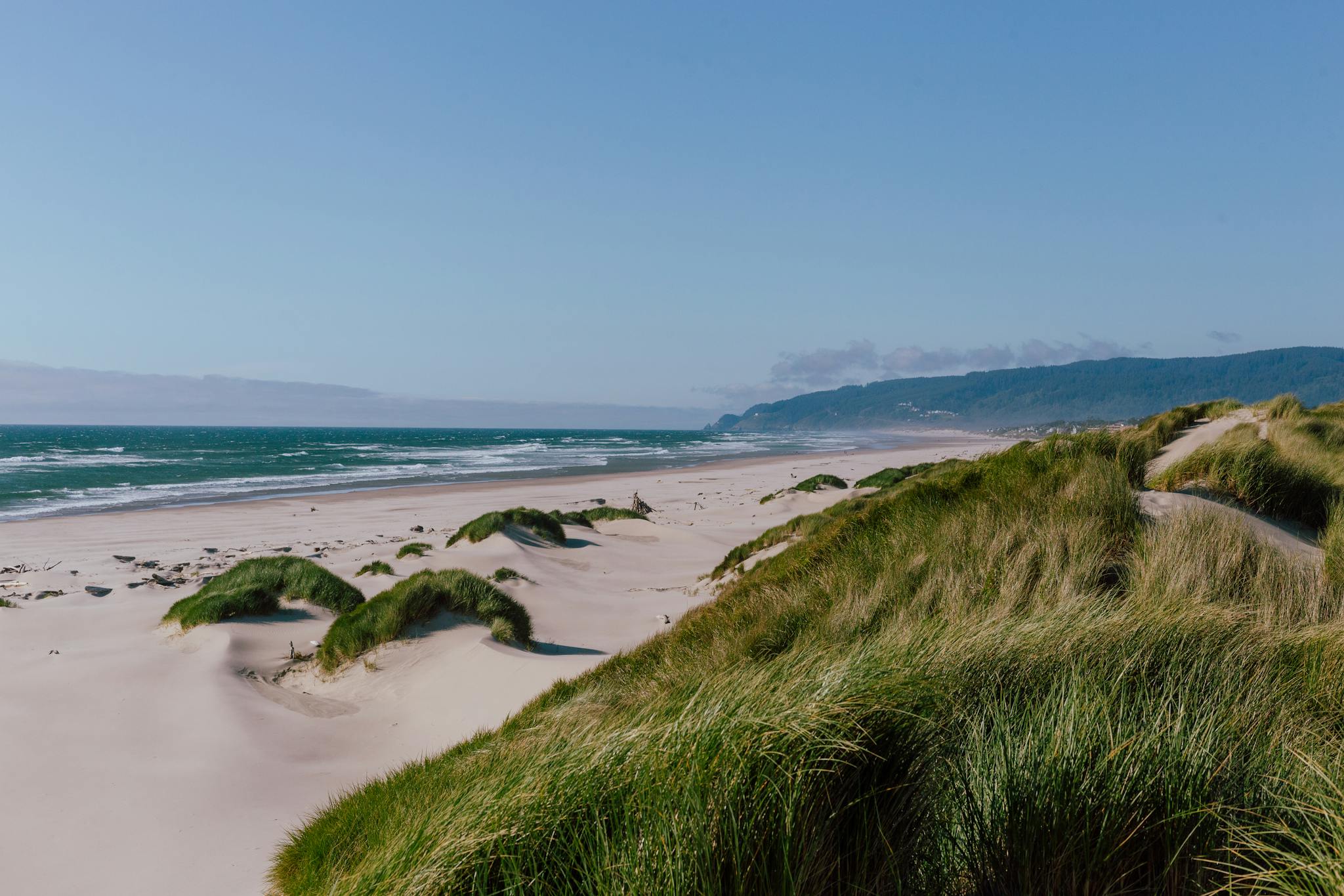 Beautiful coastal sand dunes and grassy landscape along the Oregon coast under a clear blue sky.