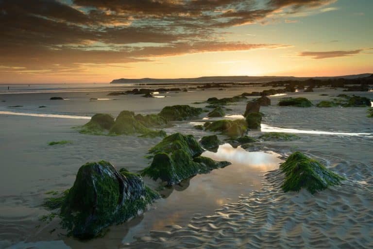 How to Experience the Oregon Coast Like a Local: Hidden Gems and Insider Tips 🐚🌊
