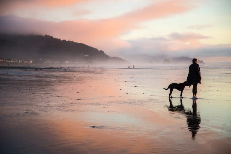 Paws on the Sand: Dog‑Friendly Beaches & Trails on the Oregon Coast (Where to Go + What to Know)