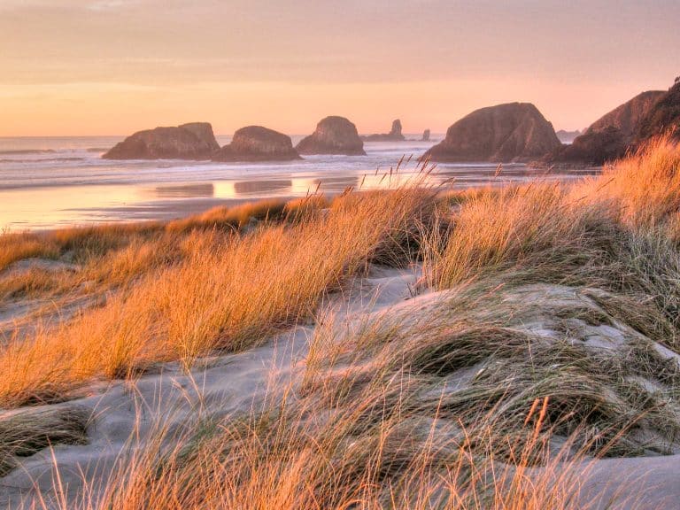 Sustainable Travel on the Oregon Coast 🌿🌊 Low-Impact Adventures, Local Love