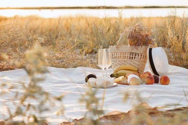 The Ultimate Oregon Coast Picnic Guide: Best Spots, Local Bites, and Wind‑Savvy Tips
