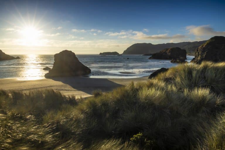 Best Quiet Beaches on the Oregon Coast for Relaxation & Wellness