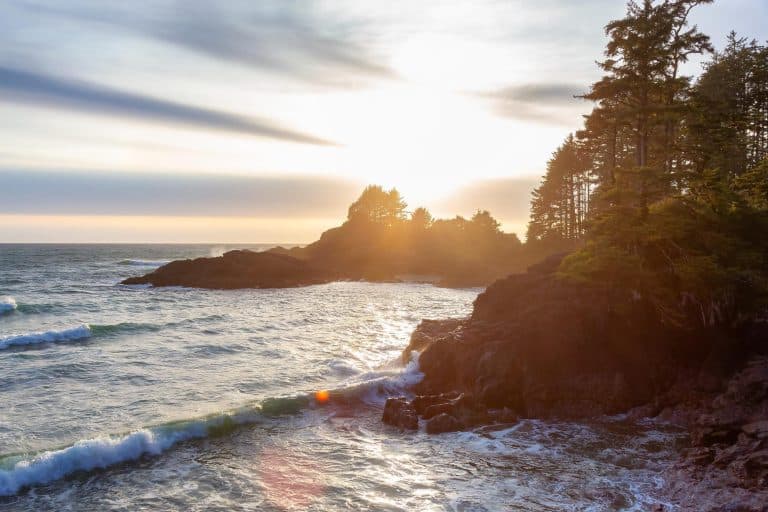 Salt Air, Tall Trees: Why the Oregon Coast Is a Top Wellness Escape for Nature Lovers 🌊🌲