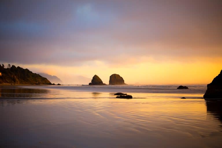 Eco-Smart Oregon Coast Getaway: Plan a Low-Impact Adventure with Local Tips & Resources 🌿🌊