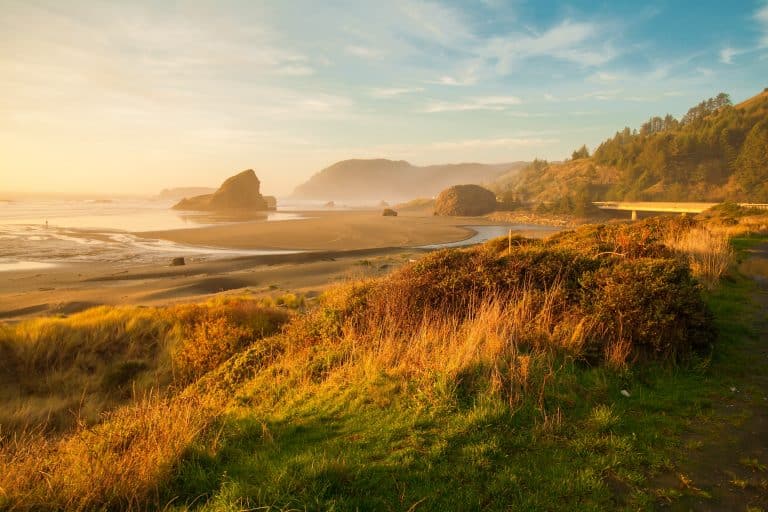 Shhh… Secret Quiet Beaches on the Oregon Coast to Escape the Crowds 🌊