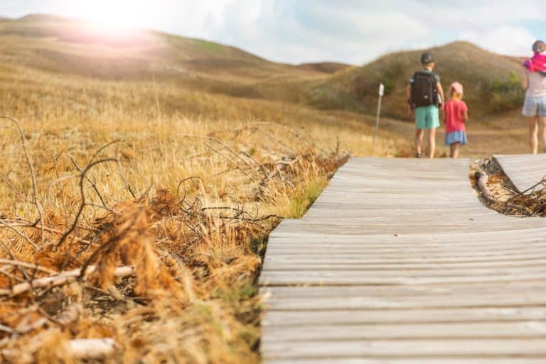 Easy + Scenic Family Hikes on the Oregon Coast: Big Views, Gentle Miles 🥾👧🧒