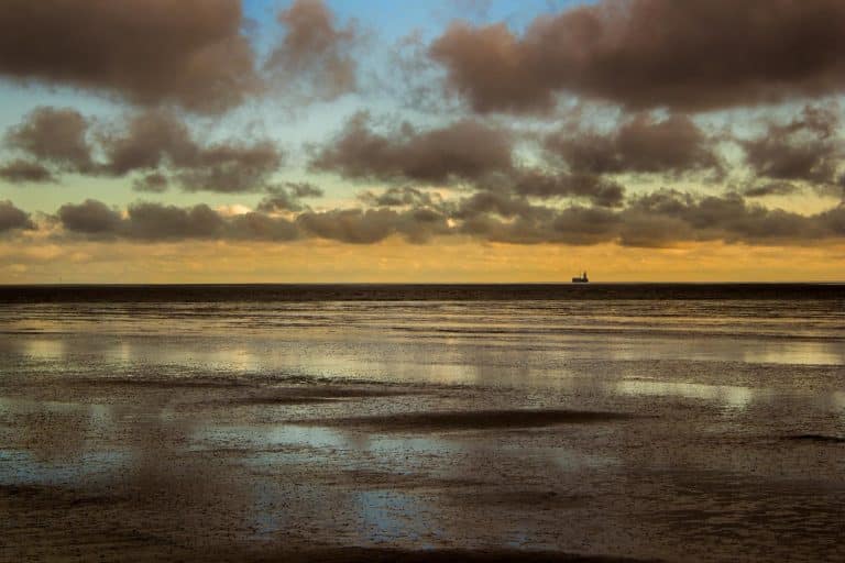 Shoot the Coast: A Local’s Guide to Stunning Oregon Seascape Shots 📸🌊