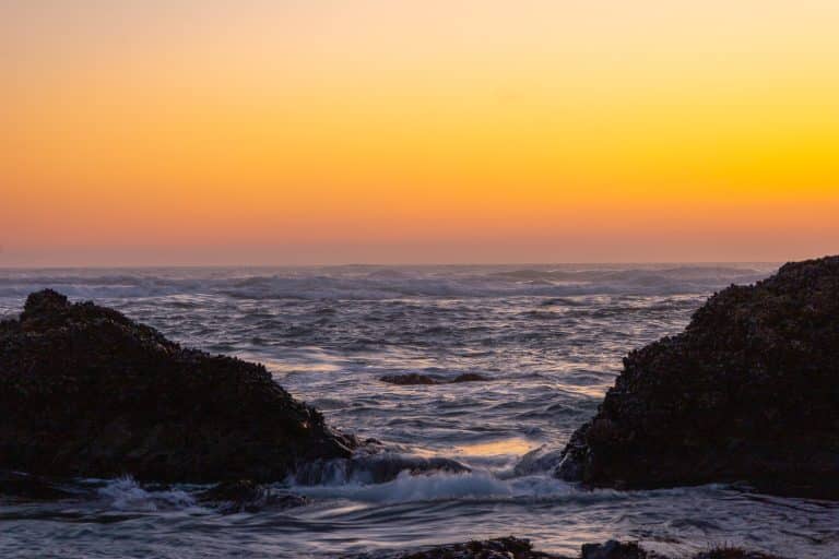 Coast Kind: Sustainable Travel Tips for the Oregon Coast 🌱♻️