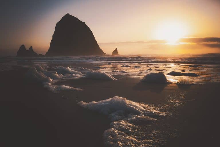 February Adventures on the Oregon Coast 🌊🧭 — Storms, Whales & Cozy Escapes