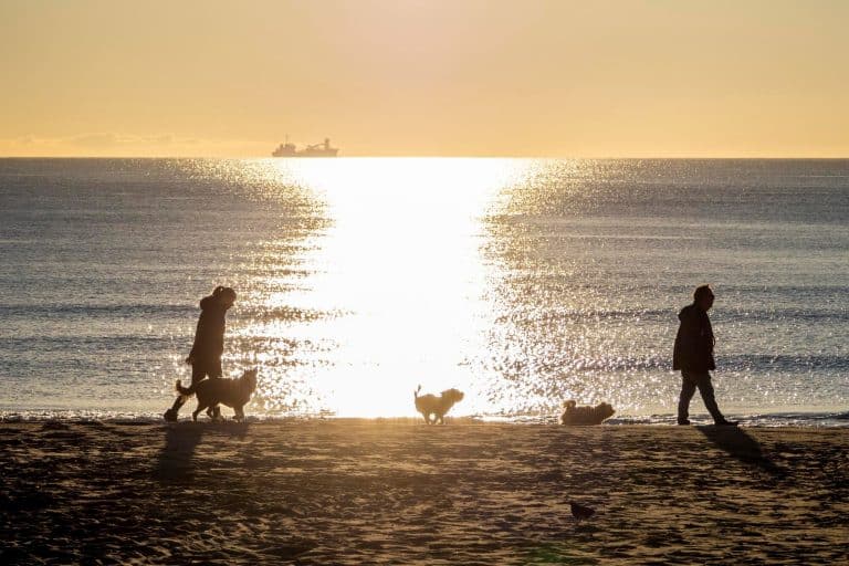 Travel Light, Leave it Wild: Sustainable Ways to Love the Oregon Coast 🌿♻️