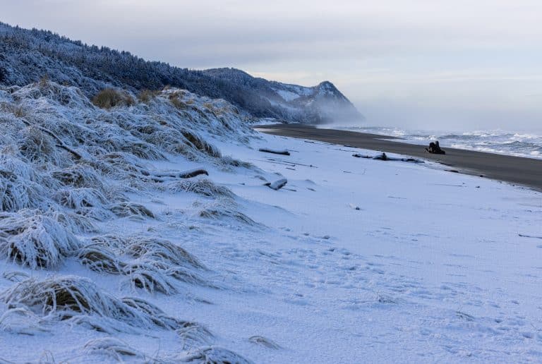 Chasing Winter Light on the Oregon Coast: Pro Tips for Stunning Seascapes 📸🌊