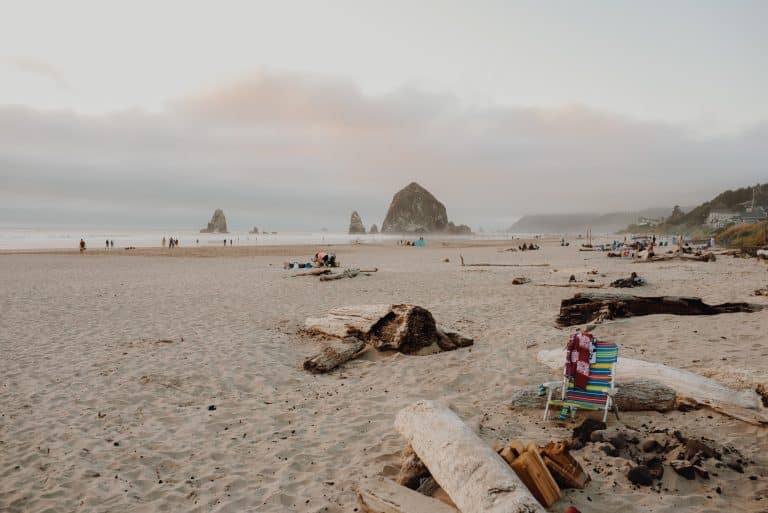 Best Family Camping Spots on the Oregon Coast for Spring 2026 🏕️🌲