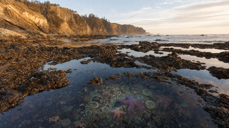 Scenic tidepool area on Oregon Coast with rocky formations and shallow pools