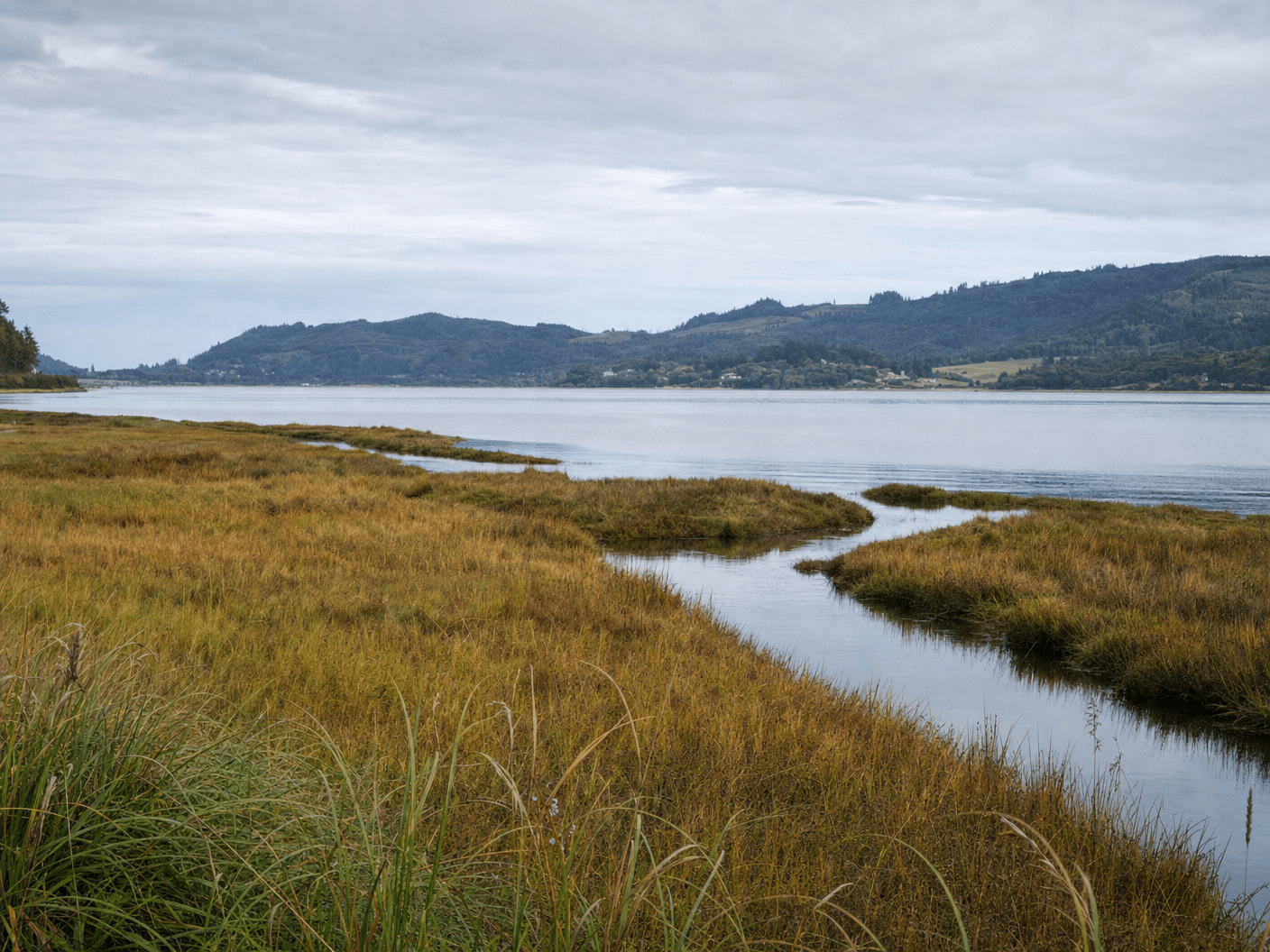 Coastal wetlands and marshland habitat in Tillamook Bay