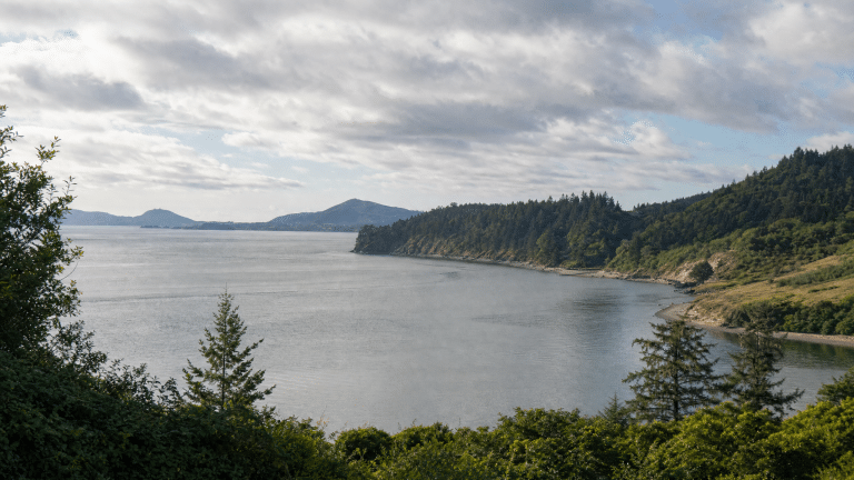 Scenic Tillamook Bay landscape with forested shores