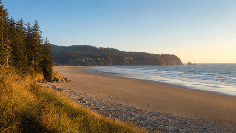 Scenic overview of Manzanita Beach with forested headlands and sandy shore