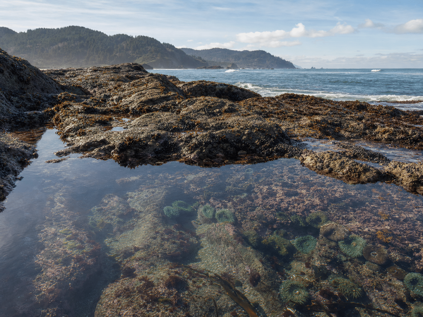 Rocky shoreline with tide pools near Manzanita on the Oregon Coast