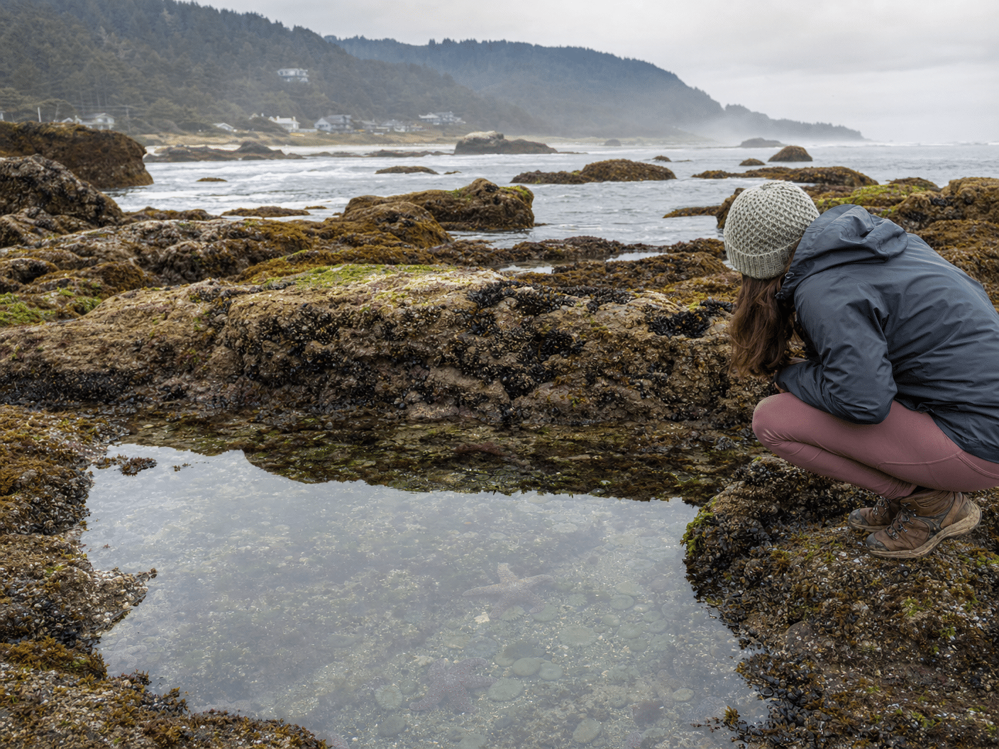 Careful tide pool exploration maintaining safe distance from marine life