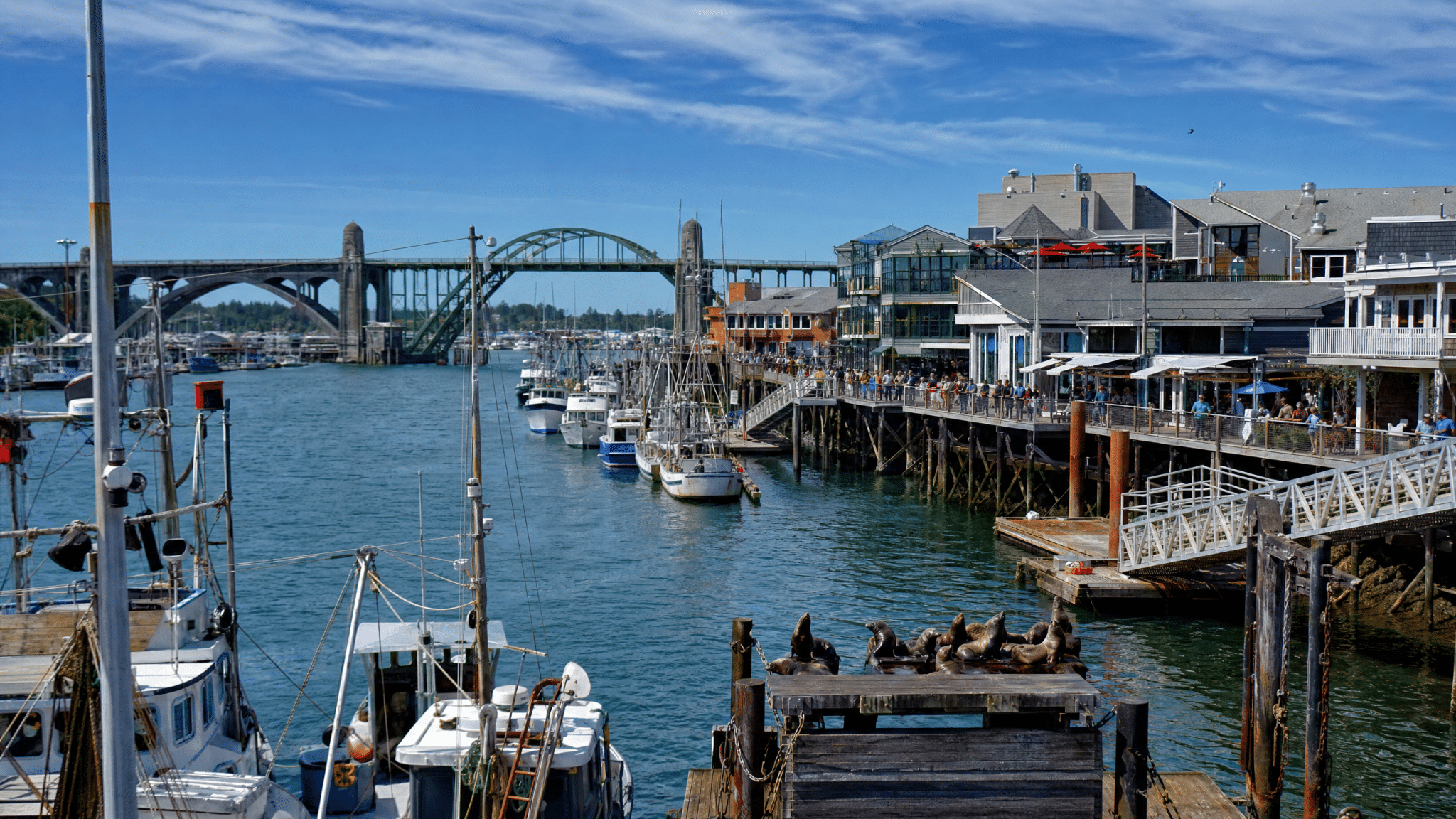 Newport harbor with fishing boats and active waterfront activities