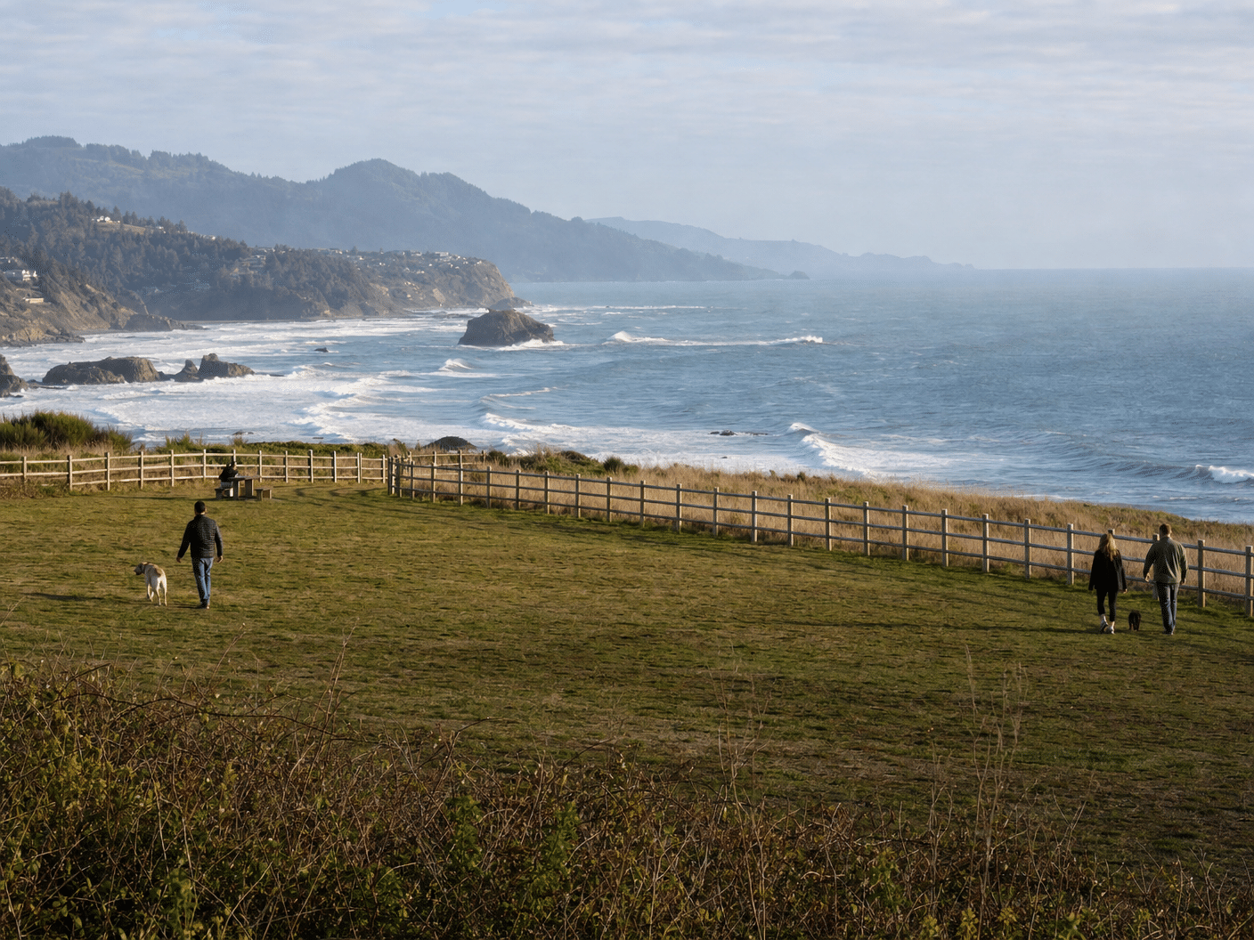 Dog-friendly grassy bluff area at Cape Blanco