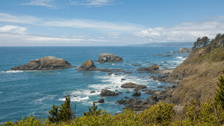 Ocean viewpoint at Seal Rock with rocky formations and marine wildlife
