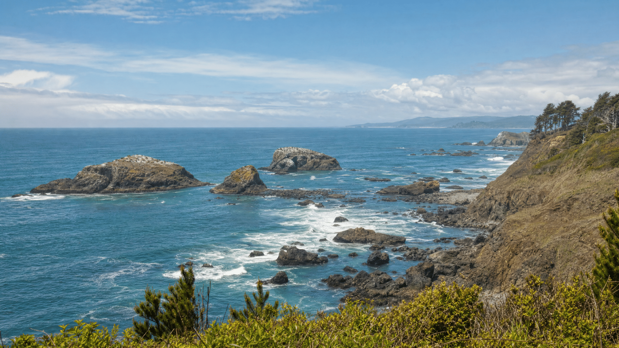 Ocean viewpoint at Seal Rock with rocky formations and marine wildlife