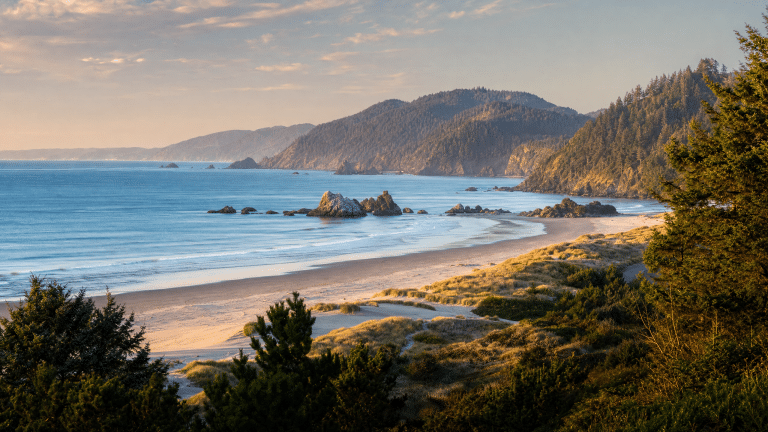 Panoramic coastal landscape near Reedsport showing beaches and forested headlands