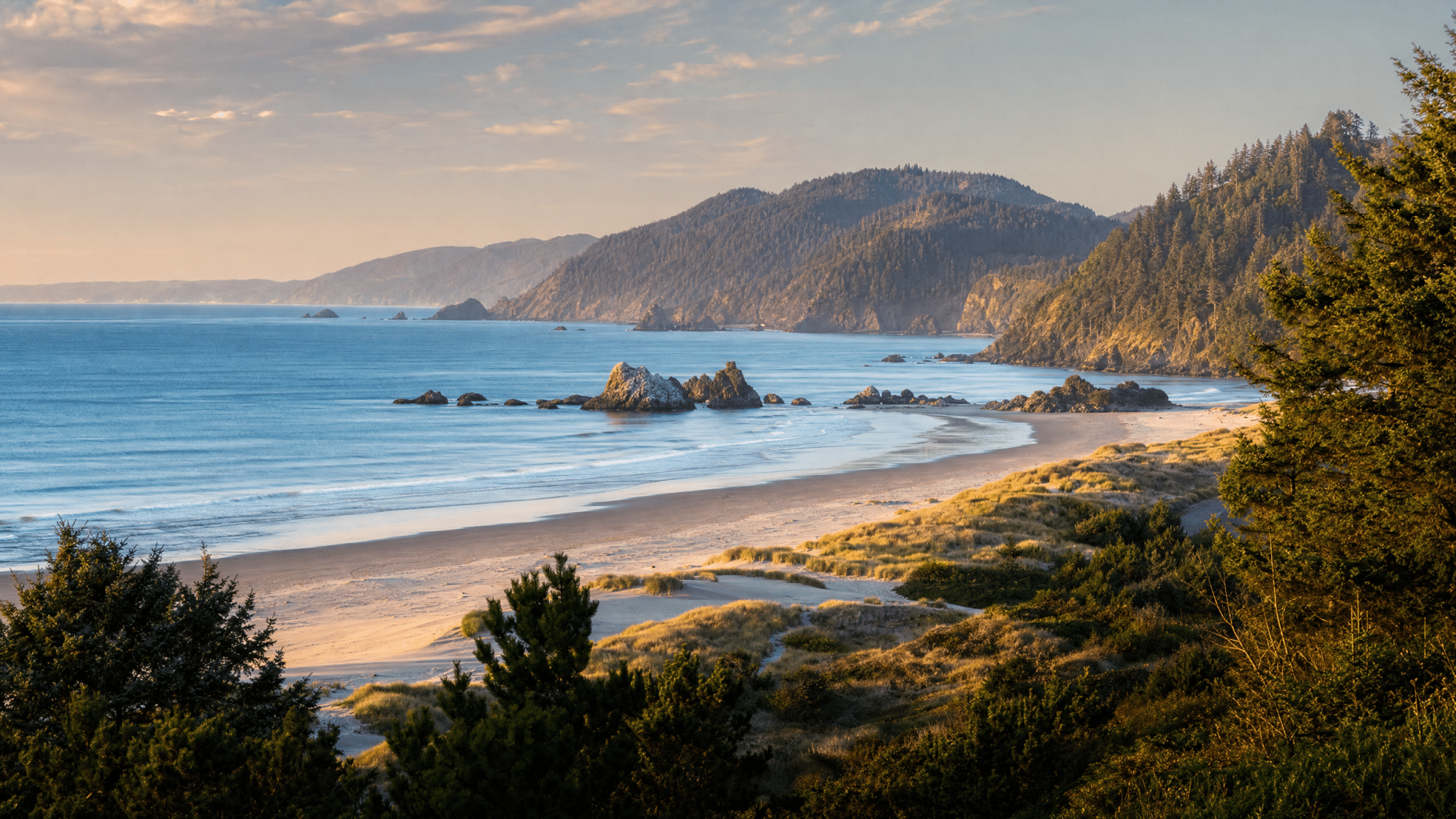 Panoramic coastal landscape near Reedsport showing beaches and forested headlands