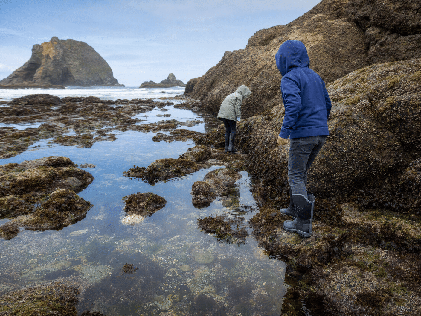 Visitors safely exploring tidepools on the Oregon Coast during low tide
