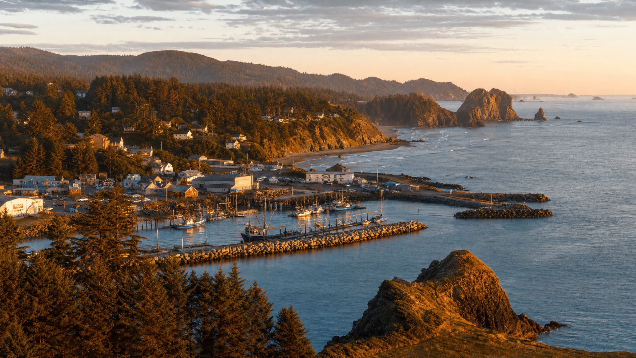 Scenic overview of Port Orford's dramatic coastal landscape and harbor