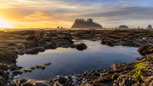 Oregon Coast tide pools at sunset with rocky shoreline, reflective water, sea stacks, and golden sky.