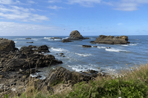 Where to see puffins -Rocky Oregon Coast shoreline with offshore sea stacks and ocean waves near Bandon.