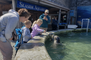 Family watching sharks, rays, and fish through a large underwater aquarium window in Newport.