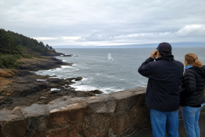 Visitors look for whales from a rocky Oregon Coast viewpoint as a distant whale spout rises offshore.